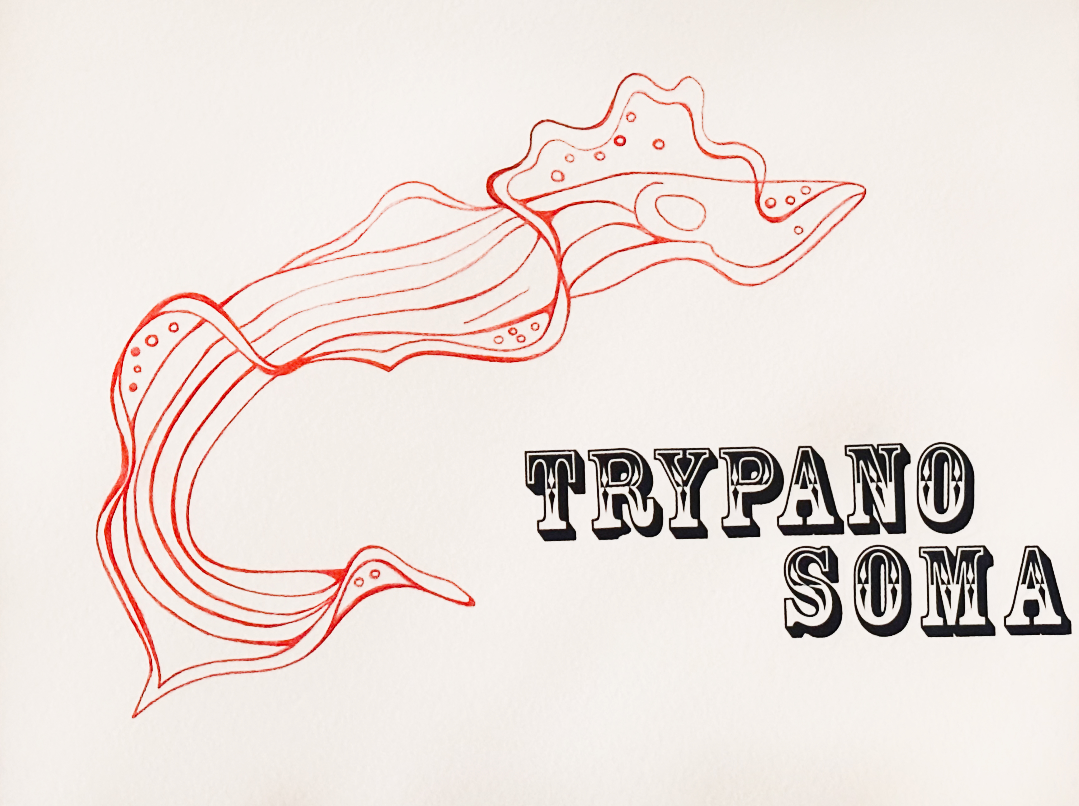Trypanosoma brucei